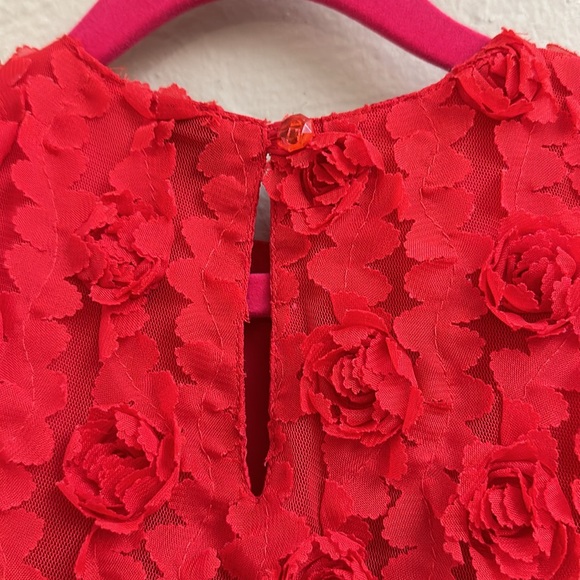 Baby GAP red formal embroidered floral dress 18-24 months - Picture 3 of 6